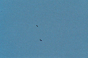 Image015_16A
