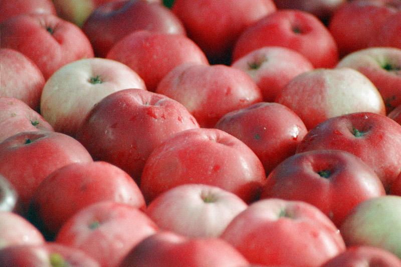 apples