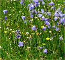 Klockor_0718