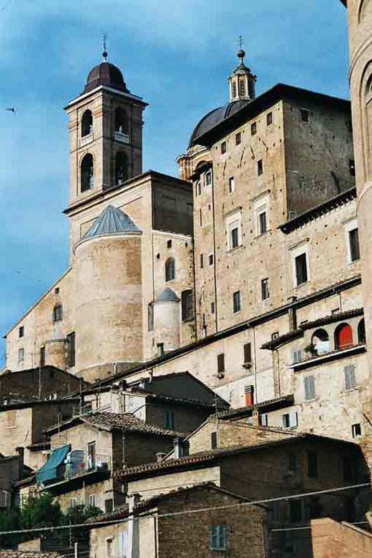 ma_urbino_20