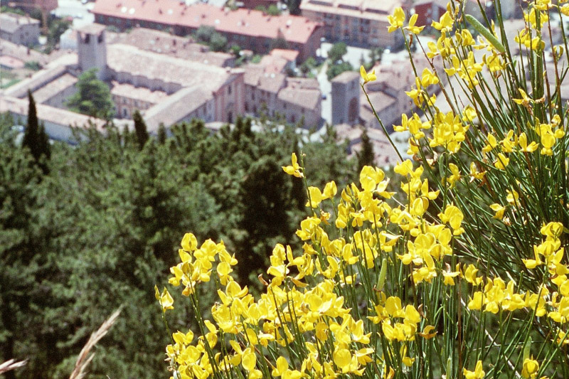 Gubbio3