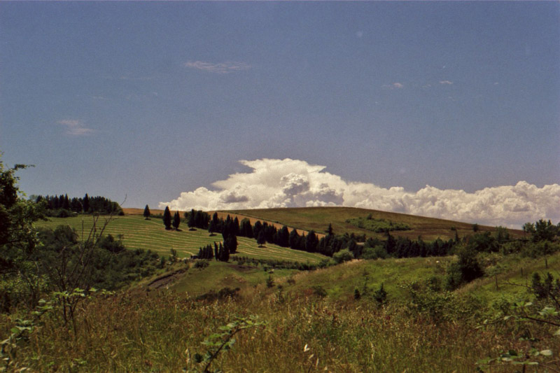 005_NR