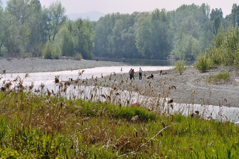 Image014_15A