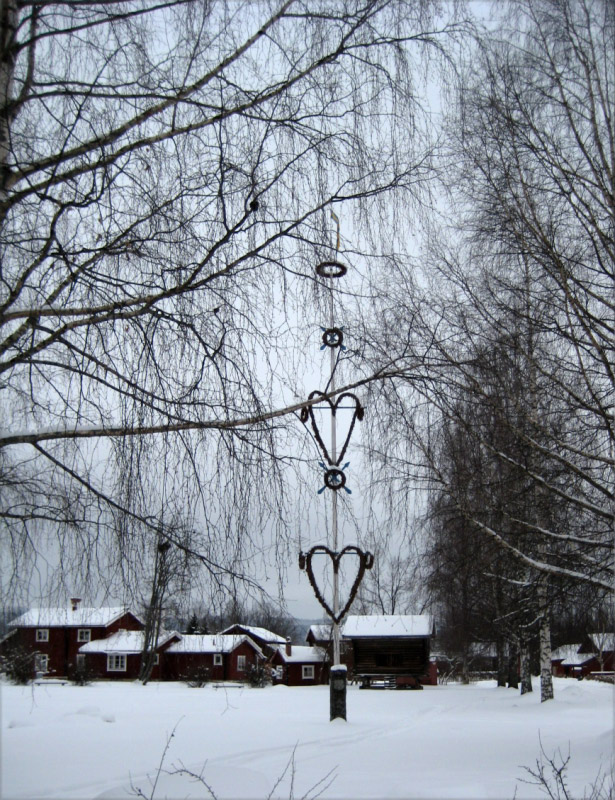 IMG_0460