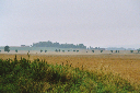 Image002_3A